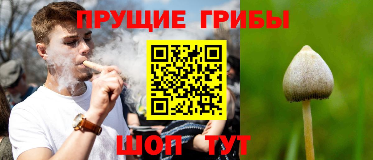 как найти   Вход с VPN  Новый Уренгой  Псилоцибиновые грибы мицелий 